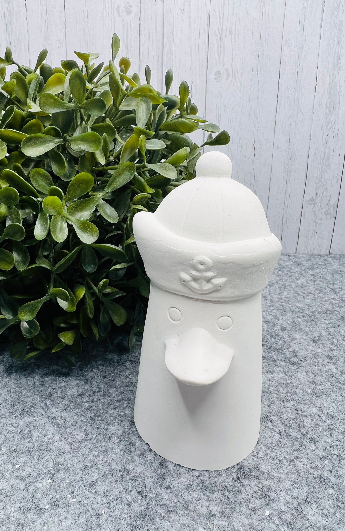 Möwe