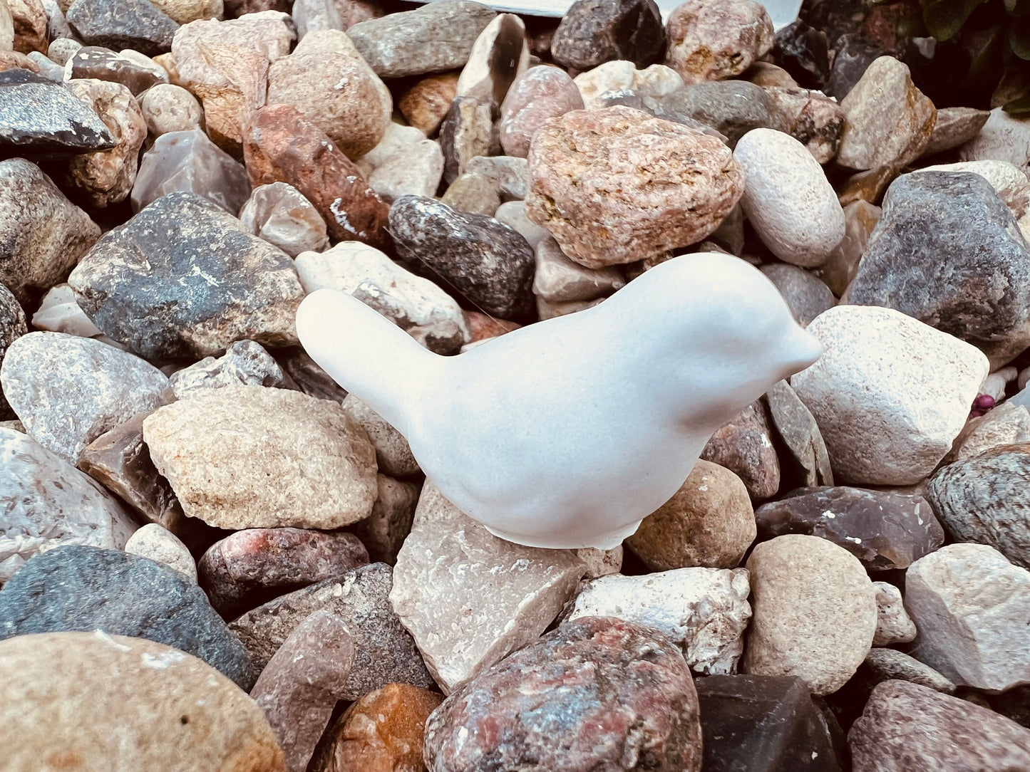 Vogelset Minis