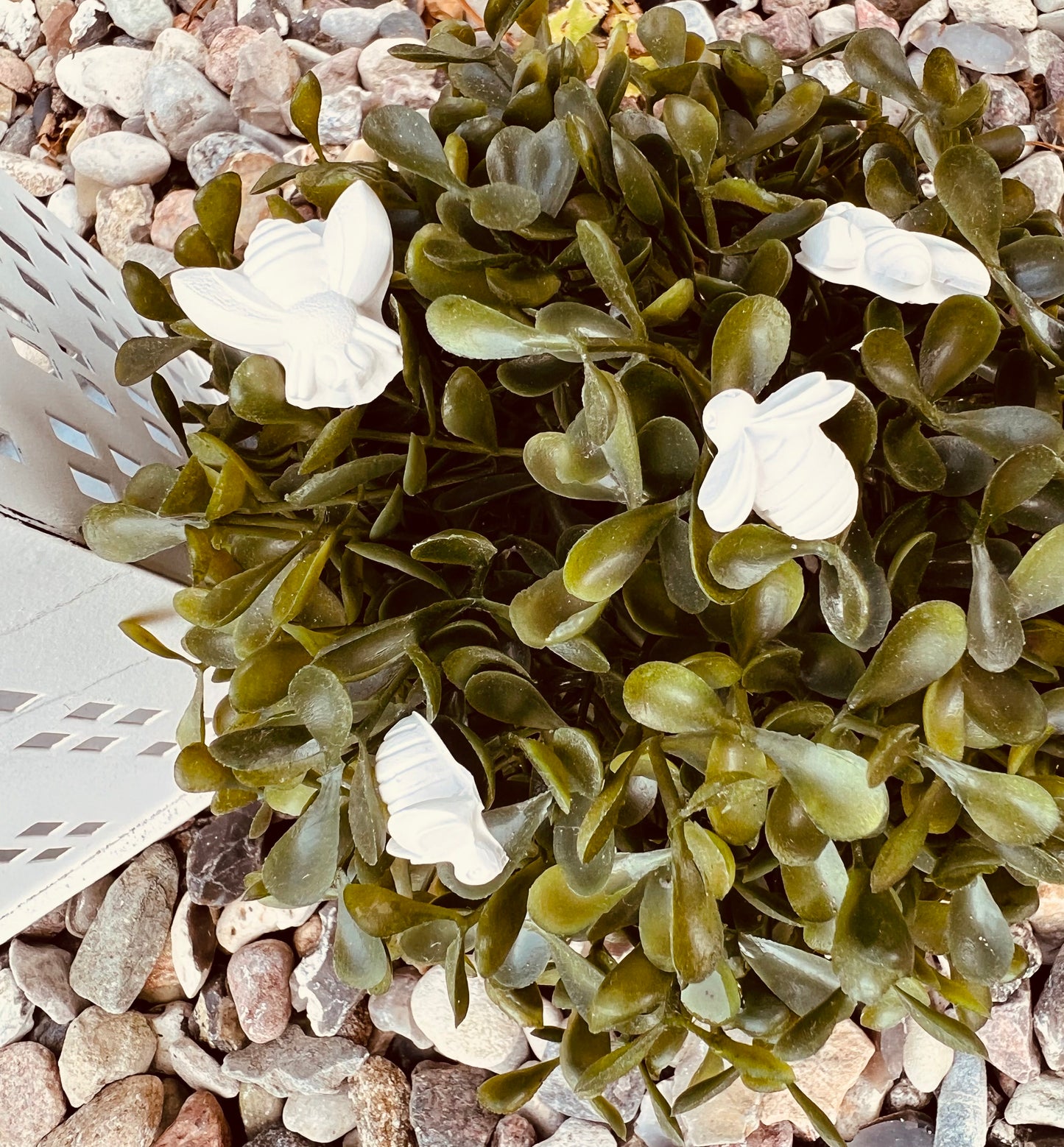 Silikonform: Große Bienen, 7er Form