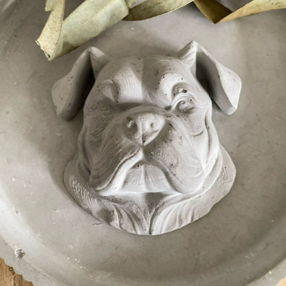 Silikonform: Englische Bulldogge-Gesicht