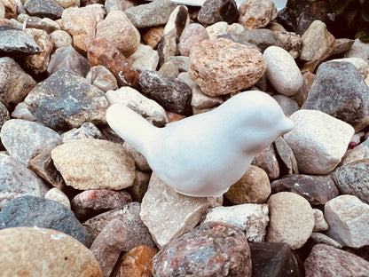 Vogelset Minis